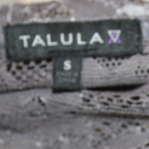 Aritzia TALULA Clarendon grey lace top size Small - Picture 4 of 6